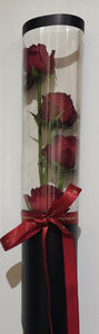 Red Rose love cylinder